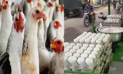 రెండు రోజులు మూతపడనున్న మాంసం దుకాణాలు.. ఎగ్ సెంటర్స్ కూడా..