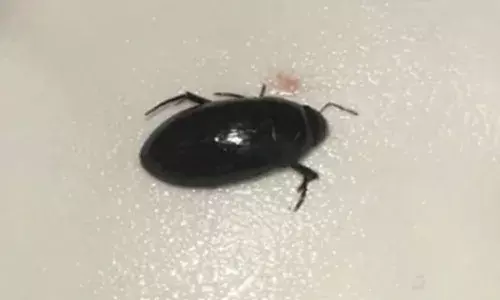 Child died, swallowing a beetle, Tamilnadu