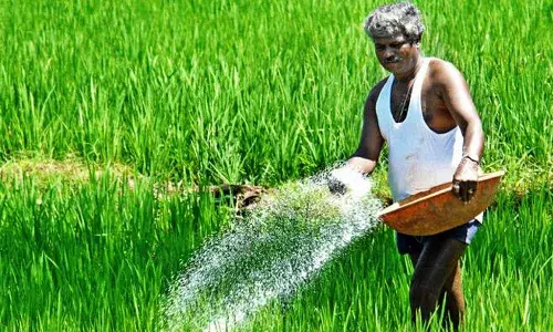AP Farmers, Central Govt, Urea, APnews