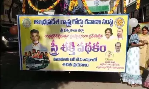 Andrapradesh, Ap Government, Stree Shakti scheme
