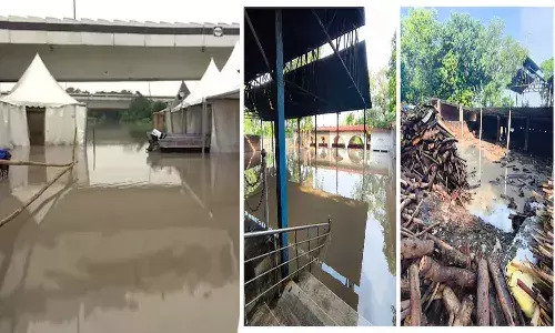 National News, Delhi, Yamuna River, Relief Camps  Submerged