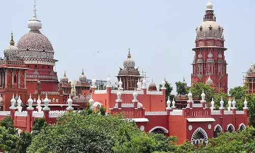 wife substantial income,  interim maintenance, Madras High court