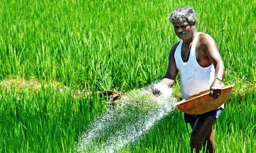 Telangana, farmers, urea, Minister Tummala nageshwararao
