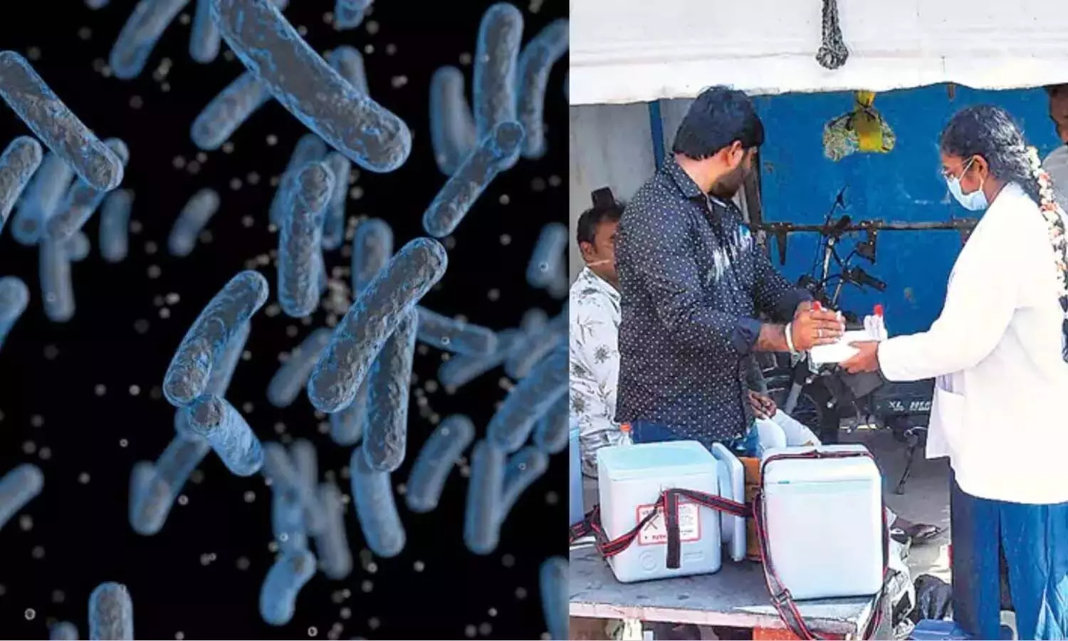Andrapradesh, Turakapalem, health emergency, 20 deaths, Melioidosis outbreak Andrapradesh, Turakapalem, health emergency, 20 deaths, Melioidosis outbreak