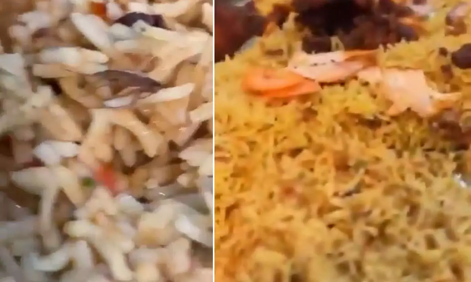 Hyderabad, Cockroach, Biryani , ArabianMandi Restaurant, Musheerabad Hyderabad, Cockroach, Biryani , ArabianMandi Restaurant, Musheerabad