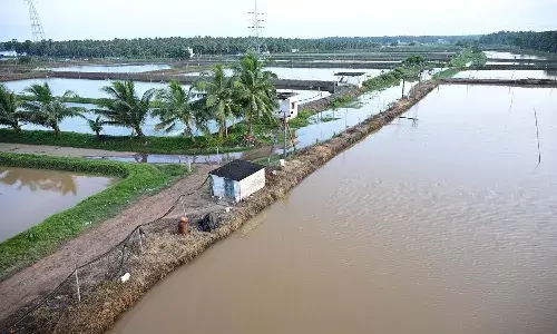 Andrapradesh, Ap Aqua Farmers, Central Government