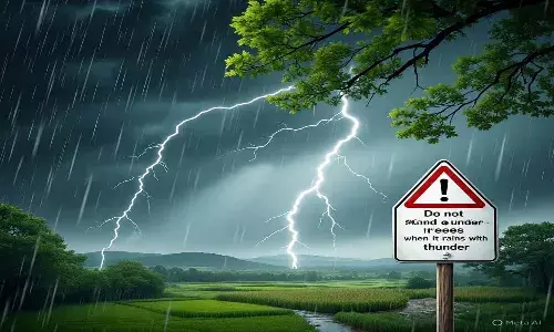 Weather News, Andrapradesh, Rain Alert, Heavy rains, Thunderstorms
