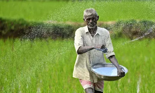 urea, Telangana, Farmer, Central Govt, Telangana Govt