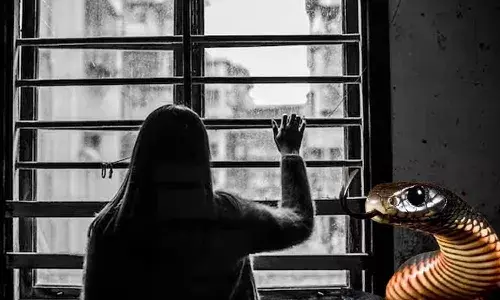 Woman locked in room, in laws, dowry dispute, snake