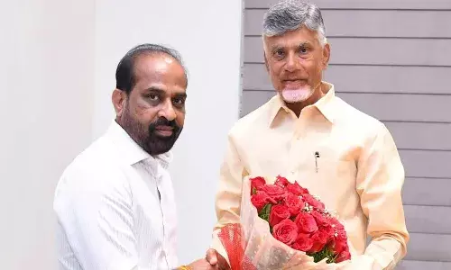 మంత్రి సత్యకు సీఎం చంద్రబాబు కితాబు