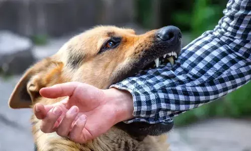 young man died, bitten by a dog, Bhadradri Kothagudem district, Pinapaka, Telangana