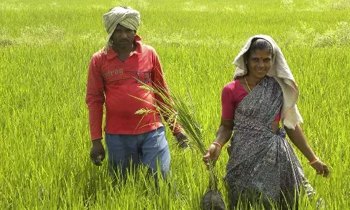 crop registration, Kharif season, crops, Andhra Pradesh