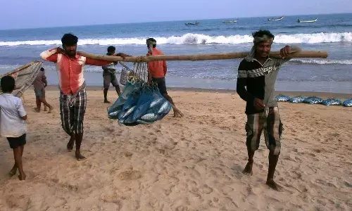 Andhra Pradesh govt, committee, Uppada fishermen, APnews