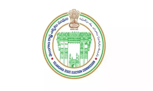 Telangana, local elections, State Election Commission, Tg High Court