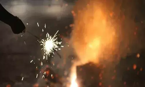 బాణసంచా నిషేధంపై సుప్రీంకోర్టు కీలక వ్యాఖ్యలు