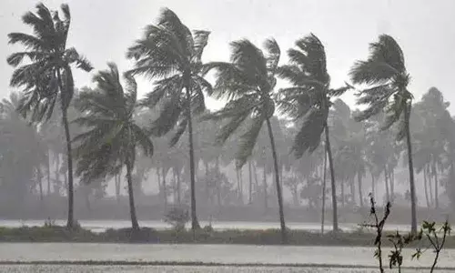 Andhra Pradesh : రేపు ఈ జిల్లాలలో వర్షాలు