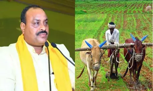 Andrpradesh, Agriculture Minister Atchannaidu,  peanut farmers, Peanut seed subsidy