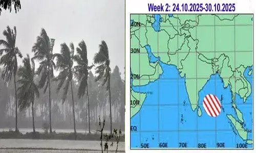 Weather News, Andrapradesh, Disaster Management Organization, low pressure