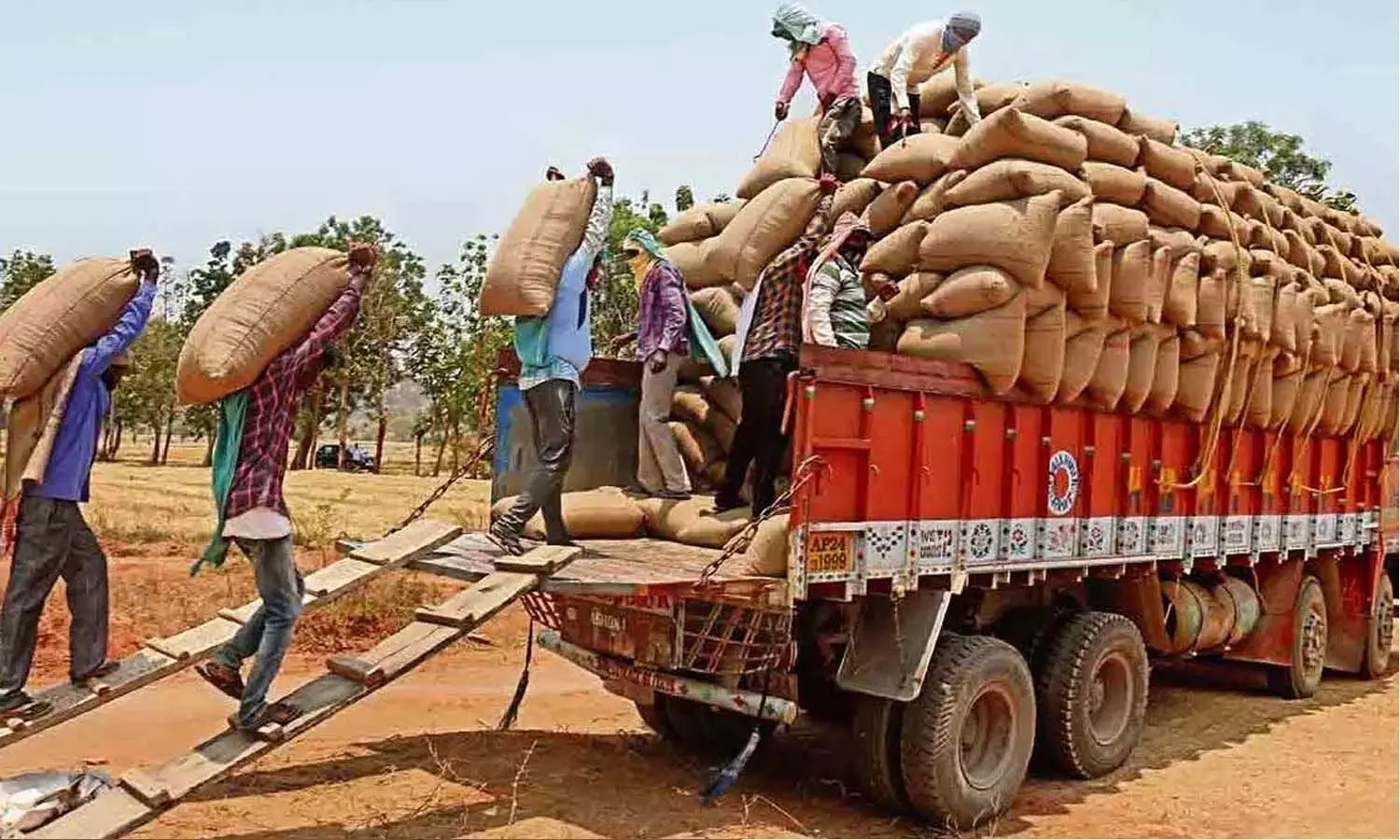 Andrapradesh, AP Government, Grain procurement, Farmers Andrapradesh, AP Government, Grain procurement, Farmers