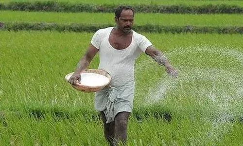India, fertiliser price, China suspends exports, Farmers, Rabi season