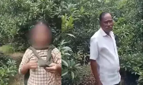 Andrapradesh, Kakinada District, Tuni, attempted rape case,  Narayana Rao