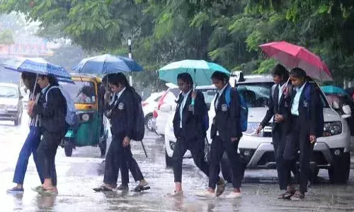 Cyclone Montha, Schools, junior colleges, holiday,