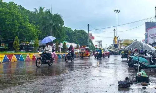 Andrapradesh, Cyclone Montha, AP Disaster Management Authority