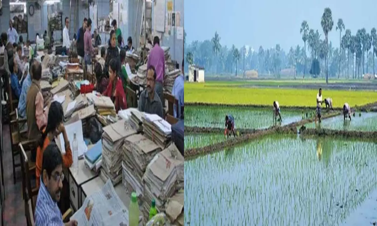 National News, Delhi, Central government, Union Cabinet Meeting, farmers and government employees National News, Delhi, Central government, Union Cabinet Meeting, farmers and government employees