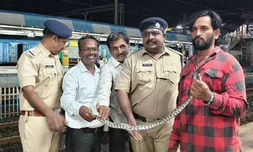 Telangana, Khammam, Dornakal, Andaman Express,  python Telangana, Khammam, Dornakal, Andaman Express,  python