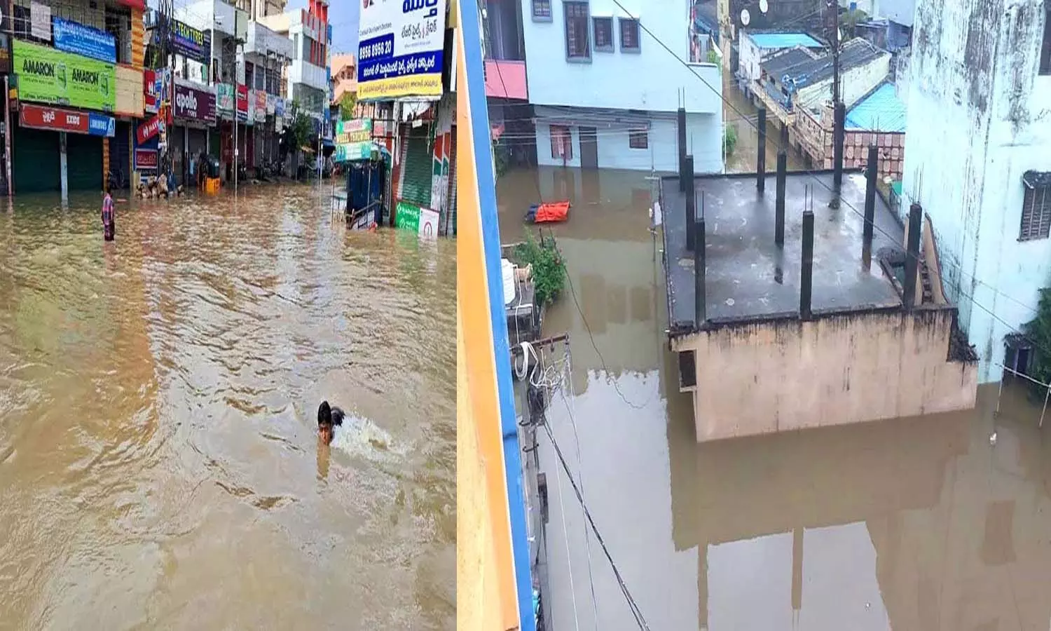 Telangana, Cyclone Montha,  Warangal, Hanamkonda Telangana, Cyclone Montha,  Warangal, Hanamkonda