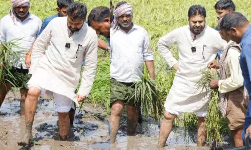 మోకాలి లోతు బురదలో దిగి.. నేలకొరిగిన పంటను పరిశీలించి..