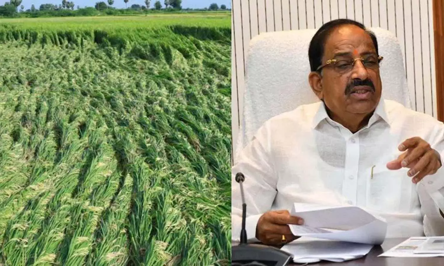 Telangana, Cyclone Montha, Crop Damage, Paddy crop, Preliminary damage assessment report