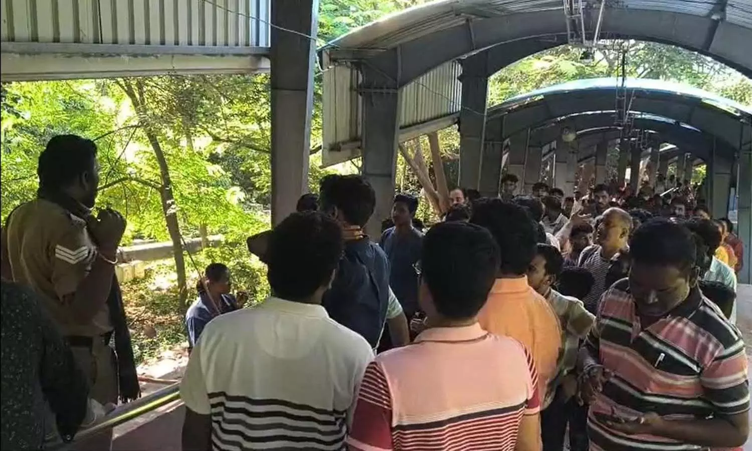 Leopard, Srivari Mettu Path,Tirumala