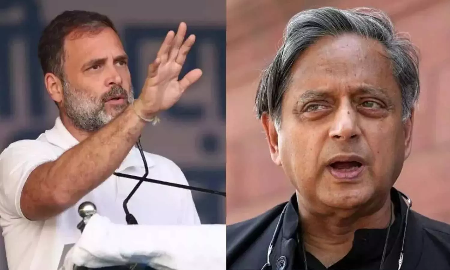 Congress Leaders, Shashi Tharoor, Nepotism , National news