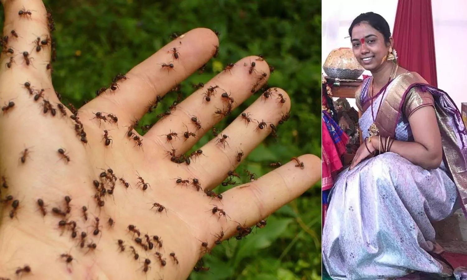 Hyderabad News, Sangareddy District, Ameenpur, Myrmecophobia, Manisha, Ant Phobia, Suicide