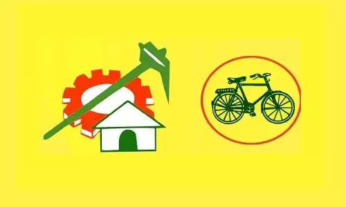 TDP State president, leaders, disrepute to party, APnews