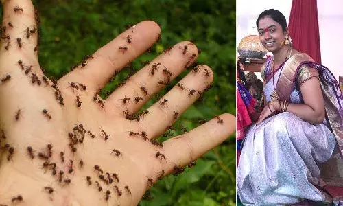 Hyderabad News, Sangareddy District, Ameenpur, Myrmecophobia, Manisha, Ant Phobia, Suicide