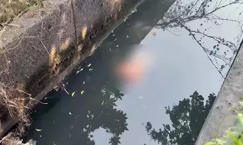 Crime News, National News, Delhi, Noida, Womans body found in drain Crime News, National News, Delhi, Noida, Womans body found in drain