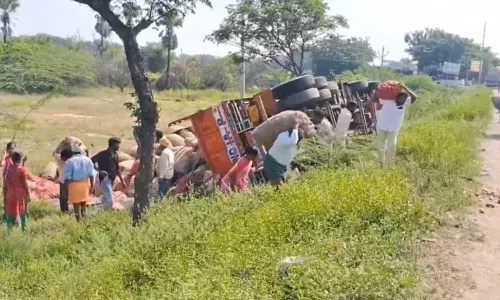 Video : ఉల్లిపాయల లారీ బోల్తా పడిందని తెలియగానే..