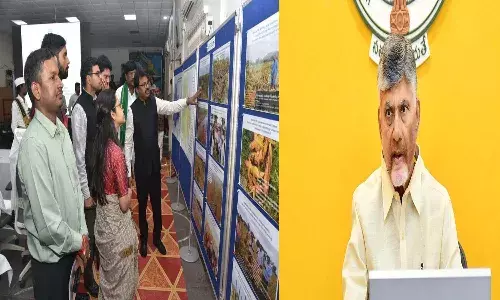 Andrapradesh, Cm Chandrababu, Cyclone Montha damage, Central team