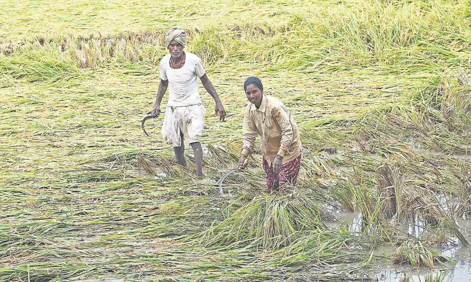 Telangana, Cyclone Montha damage, Minister Thummala, Congress Government