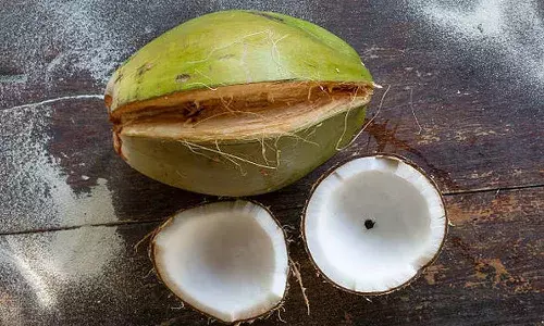 Health benefits, eating, raw coconut, Lifestyle Health benefits, eating, raw coconut, Lifestyle