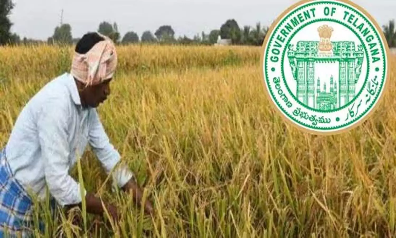 Telangana, farmers, Minister Uttam, Congress Government, Paddy