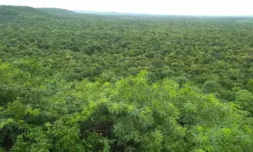 Damagundam Reserve Forest Land Case, High Court, Telangana govt, counter affidavit