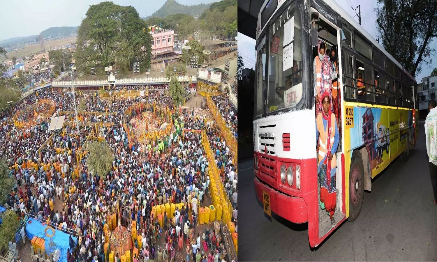 Telangana, TGSRTC, Medaram Mahajatara, Special Buses, Devotees