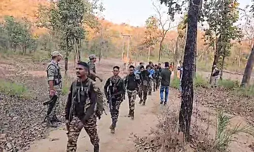 National News, Chhattisgarh, Three Maoists killed, Security Forces National News, Chhattisgarh, Three Maoists killed, Security Forces