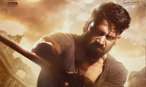 Cinema News, Tollywood, Entertainment, Akkineni Naga Chaitanya, Vrushakarma