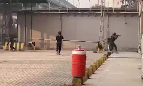 International News, Pakisthan, suicide bombing, Pakistani commandos killed