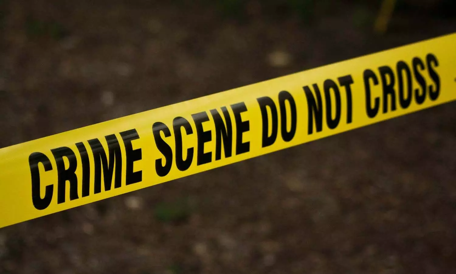 Delhi, Drunk man kills live-in partner,Crime