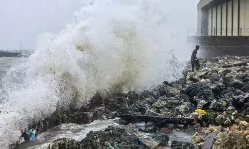 Cyclone Ditwah : అప్రమత్తమైన ఏపీ ప్ర‌భుత్వం